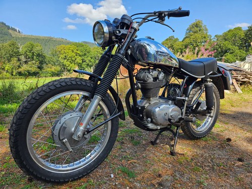 1973 Ducati Scrambler 350