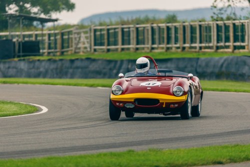 1959 ELVA EUROPEAN CHAMPIONSHIP RACE CAR WITH FIA PAPERS For Sale