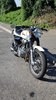 2011 Rare Enfield Fury 500 For Sale
