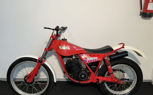 1980 Fantic Motor Trial 200 (picture 1 of 16)