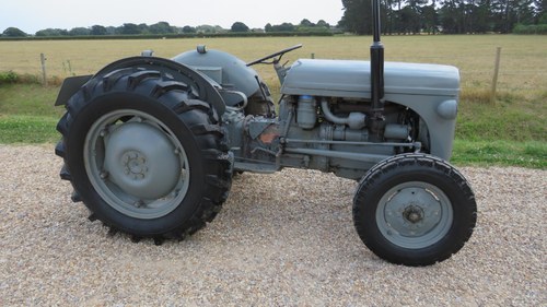 1954 (Y) Ferguson Tef 20 TRACTOR In vendita