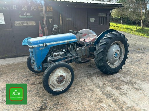 FERGUSON TEF20 DIESEL “BLUE” FERGIE 1953 ALL WORKING USE VENDUTO