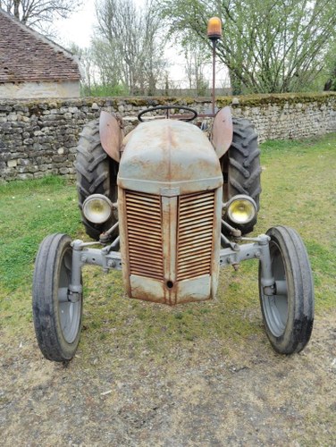 1955 Ferguson TE20 En Venta