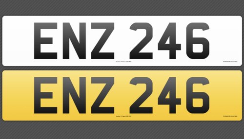 ENZ 246 In vendita