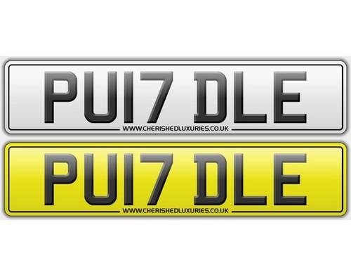 PU17DLE.        PUDDLE For Sale