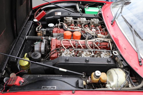 1972 Ferrari 365 GTC/4 - 5