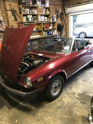 1981 EXCELLENT FIAT 124 SPIDER CONVERTIBLE LHD For Sale