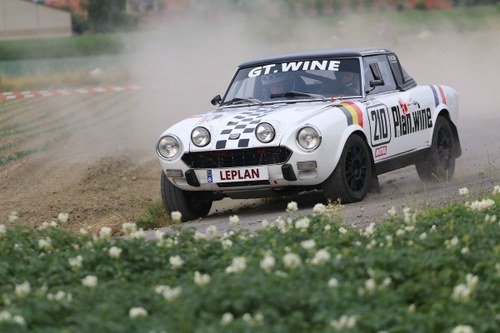 1976 Historic rally car  For Sale
