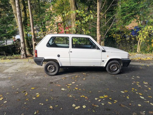 1994 Rare Panda Selecta CVT For Sale