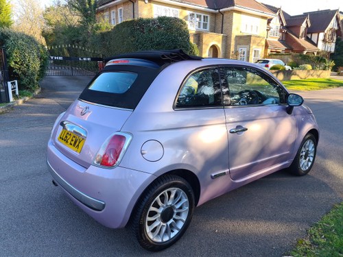 2013 Outstanding Throughout Rare Pink Pearl FSH & MOT SOLD