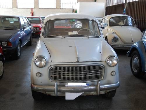 1955 FIAT 1100 103 For Sale