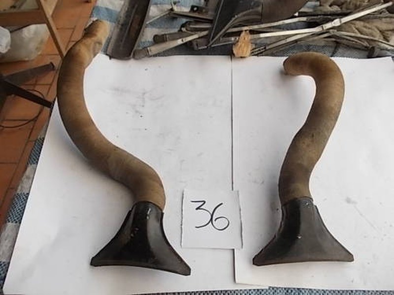 Fiat 1500 Spider air conveyors