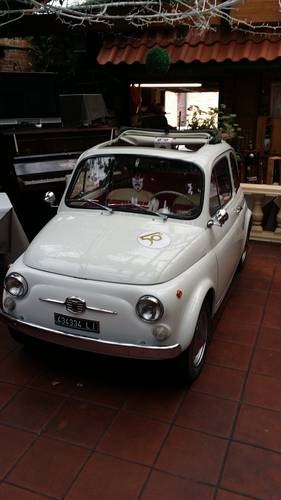 1965 Fiat For Sale
