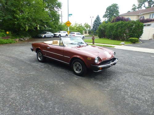 1981 Fiat 124 Spider 2000 Nicely Presentable For Sale