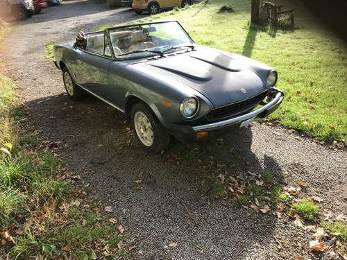 1982 fiat 124 spider For Sale