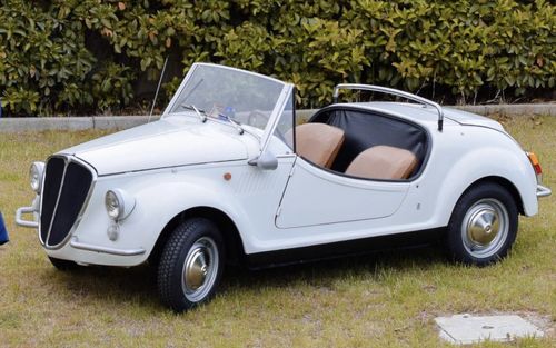 1965 Fiat 500 Gamine Vignale (picture 1 of 14)