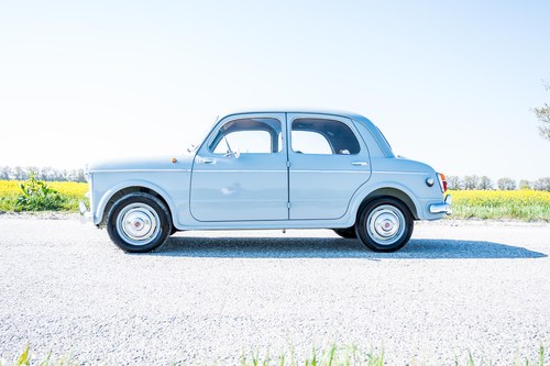 1955 Fiat 1100 - 5