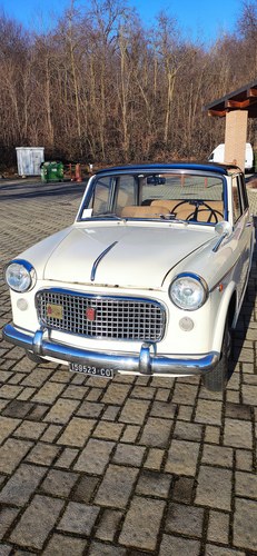 1962 Fiat 1100 - 3