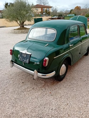 1954 FIAT 1100 For Sale
