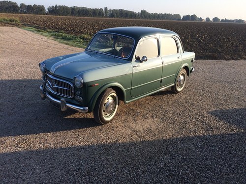 1957 Fiat 1100 103