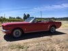 1965 Ford Mustang Convertible Pound is up Price is Way Down For Sale