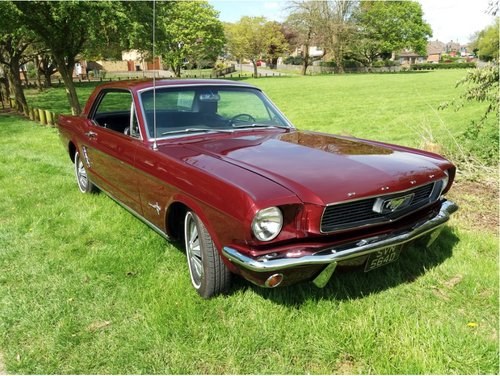 1966 '66 Mustang Coupe 44k Certified miles. SOLD