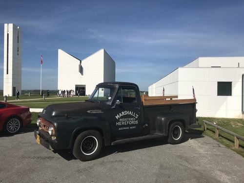 Very rare Ford F-250 from 1953  For Sale