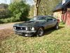 1969 Ford Mustang 6.3 V8 245KW Fastback For Sale