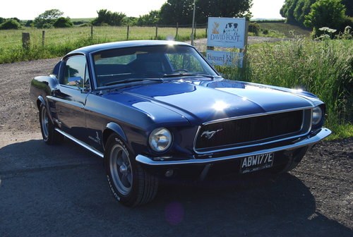 1967 Mustang Fastback In vendita
