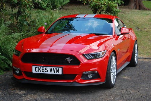 MUSTANG / 5.0 / V8 / FASTBACK / GT / 2015 / 412 BHP / FIRST  For Sale