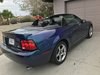 2004 Ford Mustang Cobra Svt  Mystichrome For Sale