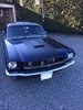 66,  Mustang Coupe One O f a Kind. For Sale