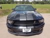 2008 Rare shelby mustang gt 500 svt For Sale