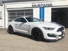 Unregistered 2018 Shelby Mustang GT350 SOLD