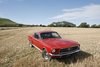 1967 Ford Mustang fastback In vendita