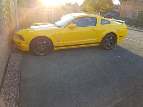 2005 Ford mustang For Sale