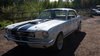 Mustang 1966 coupe In vendita