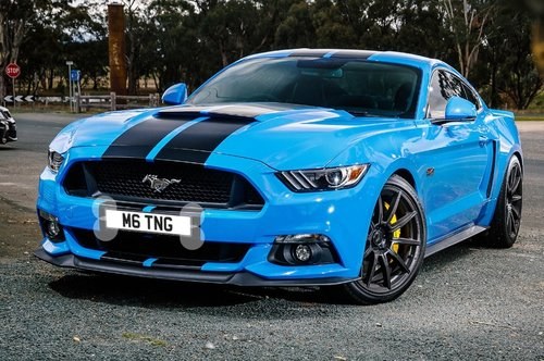 FANTASTIC MUSTANG NUMBER PLATE For Sale