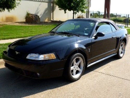 1999 Ford Mustang SVT Cobra Convertible = Black Manual $12.9 For Sale