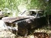 1965 Ford Mustang = 6-cyl auto = Project + Parts Car $1.9k In vendita
