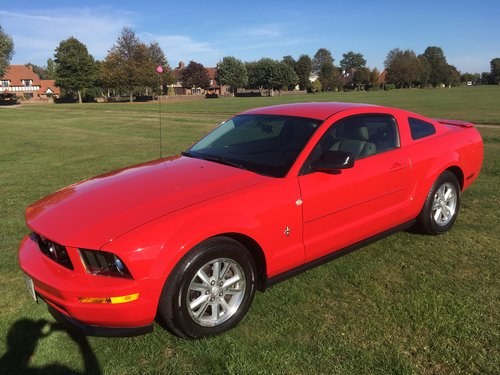 2008 FORD MUSTANG For Sale
