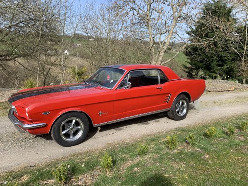 1966 Candy Apple Red Magentic S550 Racing Stripes 289 For Sale