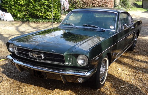 1965 A Rare Mustang Survivor For Sale