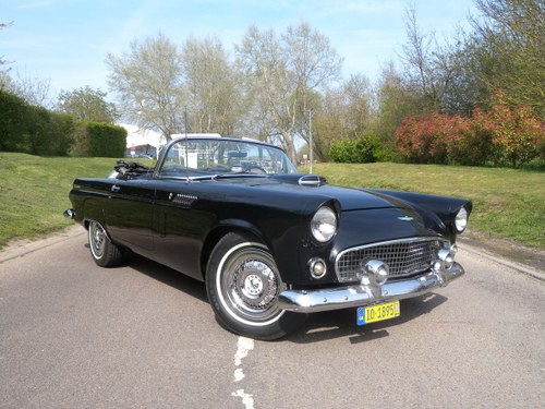 1956 FORD THUNDERBIRD CONVERTIBLE For Sale