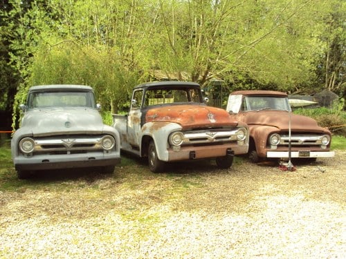 1956 Ford F100 pick ups For Sale