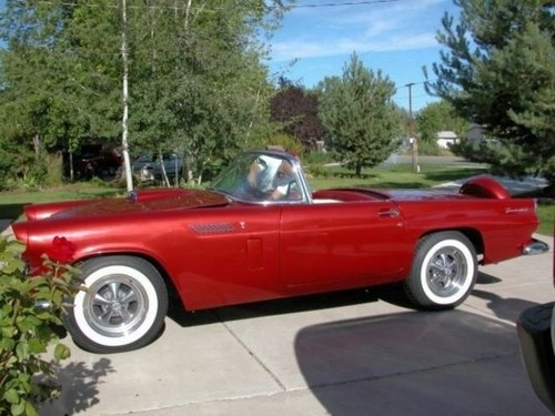 1956 Ford T-bird Convertible Deluxe w Continental For Sale