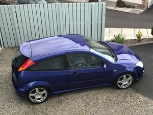 2002 Ford focus rs, genuine low miles, fsh! For Sale