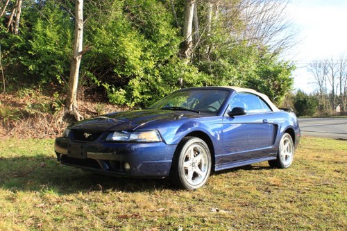 Lot 118- 2001 Ford SVT Cobra  For Sale by Auction