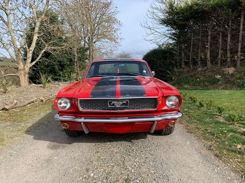 1966 Ford Mustang Candy Apple Red Shelby Stripes 302 V8 For Sale