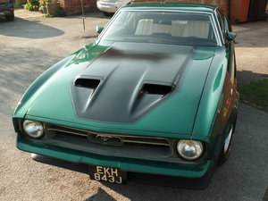 1971 Mustang Fastback 351 Cleveland In vendita